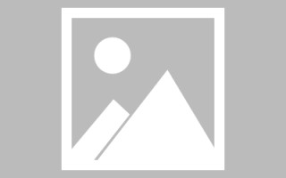 青岛龙江乐从网站建设（乐从和龙江）